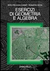 Esercizi di geometria e algebra - Rita Procesi Ciampi, Rosaria Rota - Libro Zanichelli 2000 | Libraccio.it