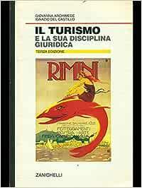 Il turismo e la sua disciplina giuridica - Giovanna Archimede, Ignazio Del Castillo - Libro Zanichelli 1995 | Libraccio.it