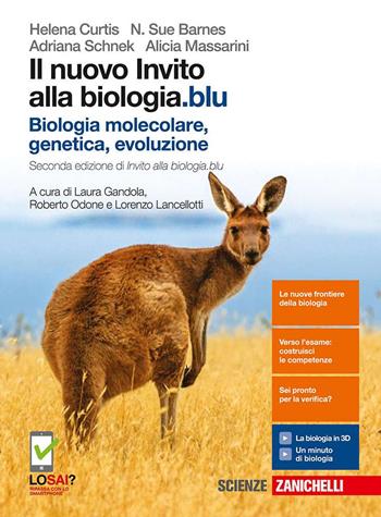 Nuovo invito alla biologia.blu. Biologia molecolare, genetica, evoluzione. Con Contenuto digitale (fornito elettronicamente) - Helena Curtis, Adriana Schnek, N. Sue Barnes - Libro Zanichelli 2017 | Libraccio.it