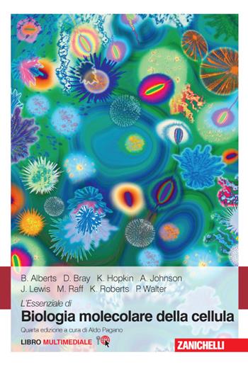 L' essenziale di biologia molecolare della cellula. Con e-book - Bruce Alberts, Dennis Bray, Karen Hopkin - Libro Zanichelli 2015 | Libraccio.it