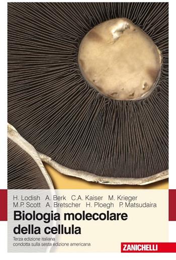 Biologia molecolare della cellula  - Libro Zanichelli 2009 | Libraccio.it