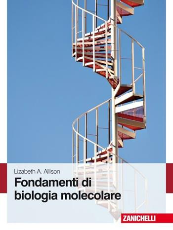 Fondamenti di biologia molecolare - Lizabeth A. Allison - Libro Zanichelli 2008 | Libraccio.it