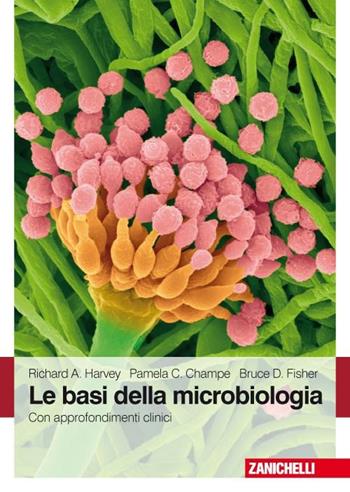Le basi della microbiologia. Con approfondimenti clinici - Richard D. Fisher, Richard Harvey, Pamela C. Champe - Libro Zanichelli 2008 | Libraccio.it