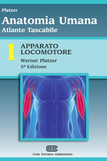 Atlante tascabile di anatomia umana. Vol. 1: Apparato locomotore - Werner Platzer - Libro CEA 2014 | Libraccio.it