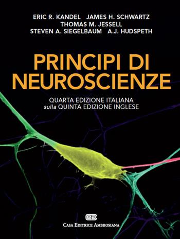 Principi di neuroscienze - Eric R. Kandel, James H. Schwartz, Thomas M. Jessell - Libro CEA 2014 | Libraccio.it
