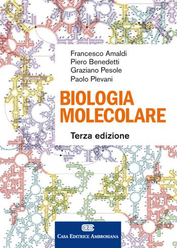 Biologia molecolare. Con e-book - Francesco Amaldi, Piero Benedetti, Graziano Pesole - Libro CEA 2018 | Libraccio.it