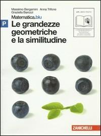 Matematica.blu 2.0. Vol. P.Blu: Le grandezze geometriche e la similitudine. - Massimo Bergamini, Anna Trifone, Graziella Barozzi - Libro Zanichelli 2010 | Libraccio.it