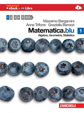 Matematica.blu. Algebra. Geometria. Statistica. Vol. 1 - Massimo Bergamini, Anna Trifone, Graziella Barozzi - Libro Zanichelli 2010 | Libraccio.it
