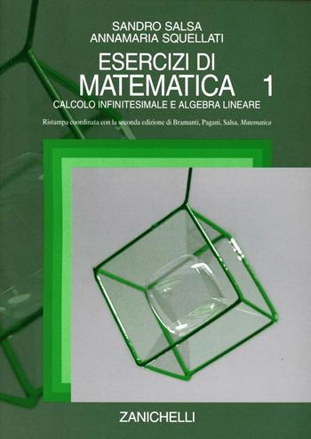 Esercizi di matematica. Vol. 1: Calcolo infinitesimale e algebra lineare - Sandro Salsa, Annamaria Squellati Marinoni - Libro Zanichelli 2004 | Libraccio.it