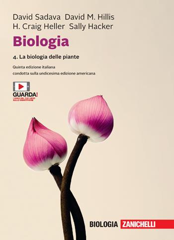 Biologia. Con e-book. Vol. 4: La biologia delle piante - David Sadava, David M. Hillis, H. Craig Heller - Libro Zanichelli 2019 | Libraccio.it