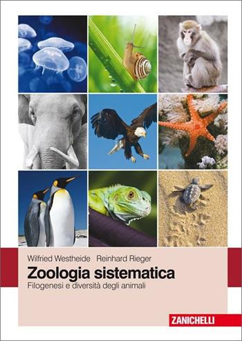 Zoologia sistematica. Filogenesi e diversità degli animali - Wilfried Westheide, Reinhard Rieger - Libro Zanichelli 2011 | Libraccio.it