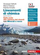 Lineamenti di chimica. Dalla mole alla chimica dei viventi. Con Minerali e rocce. Con e-book - Giuseppe Valitutti, Marco Falasca, Patrizia Amadio - Libro Zanichelli 2019 | Libraccio.it