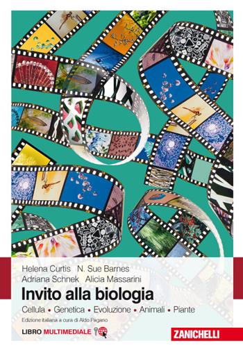 Invito alla biologia. Cellula. Genetica. Evoluzione. Animali. Piante. Per le Scuole superiori. - Helena Curtis, N. Sue Barnes, Adriana Schnek - Libro Zanichelli 2017 | Libraccio.it
