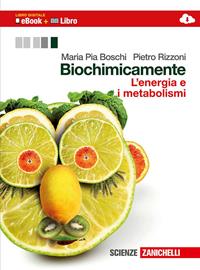 Biochimicamente. L'energia e i metabolismi. Con e-book. Con espansione online - M. Pia Boschi, Pietro Rizzoni - Libro Zanichelli 2013 | Libraccio.it