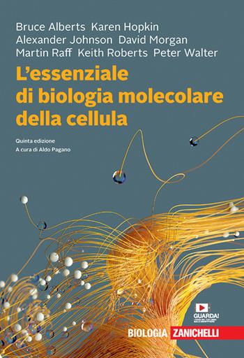 L'essenziale di biologia molecolare della cellula. Con Contenuto digitale (fornito elettronicamente) - Bruce Alberts, Karen Hopkin, Alexander Johnson - Libro Zanichelli 2020 | Libraccio.it