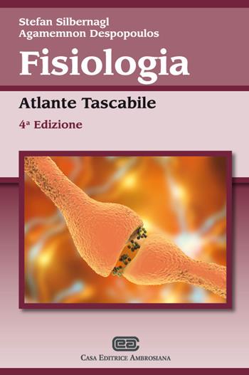 Fisiologia. Atlante tascabile - Stefan Silbernagl, Agamennon Despopoulos - Libro CEA 2018 | Libraccio.it