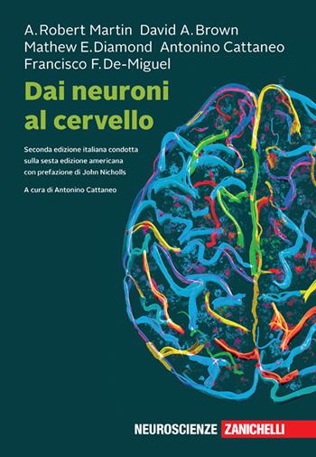 Dai neuroni al cervello. Con ebook - A. Robert Martin, David A. Brown, Mathew E. Diamond - Libro Zanichelli 2023 | Libraccio.it