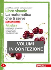 Libro visuale la matematica che ti serve. Algebra-Geometria 3. Con e-book. Con espansione online