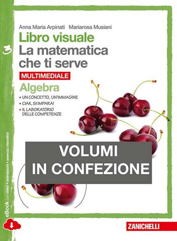 Libro visuale la matematica che ti serve. Algebra-Geometria 3. Con e-book. Con espansione online - Anna Maria Arpinati, Mariarosa Musiani - Libro Zanichelli 2014 | Libraccio.it