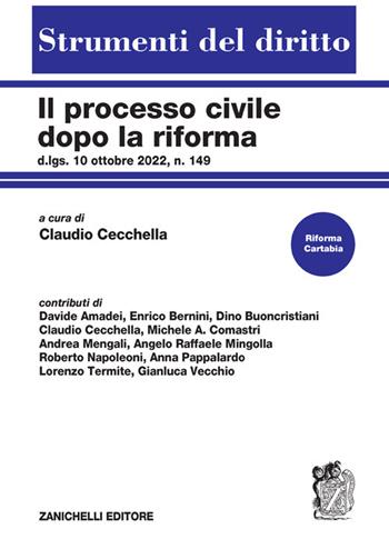 Il processo civile dopo la riforma. D.lgs. 10 ottobre 2022, n. 149  - Libro Zanichelli 2023, Strumenti del diritto | Libraccio.it