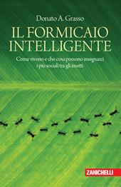 Il formicaio intelligente. Come vivono e che cosa possono insegnarci i più sociali tra gli insetti