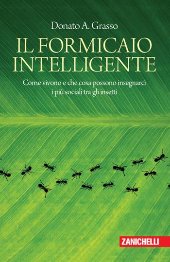 Il formicaio intelligente. Come vivono e che cosa possono insegnarci i più sociali tra gli insetti - Donato A. Grasso - Libro Zanichelli 2018, Chiavi di lettura | Libraccio.it