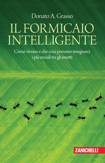 Il formicaio intelligente. Come vivono e che cosa possono insegnarci i più sociali tra gli insetti - Donato A. Grasso - Libro Zanichelli 2018, Chiavi di lettura | Libraccio.it