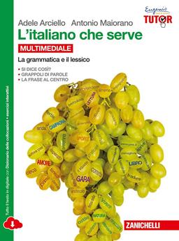 L' italiano che serve. La grammatica e il lessico. Con e-book. Con espansione online - Adele Arciello, Antonio Maiorano - Libro Zanichelli 2015 | Libraccio.it