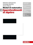 Moduli di matematica. Con espansione online. Vol. I: Approfondimenti di algebra - Massimo Bergamini, Graziella Barozzi, Anna Trifone - Libro Zanichelli 2019 | Libraccio.it