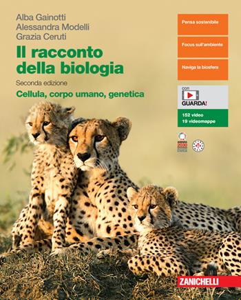 Il racconto della biologia. Cellula, corpo umano, genetica. Per le Scuole superiori. (fornito elettronicamente) - Alba Gainotti, Alessandra Modelli, Grazia Ceruti - Libro Zanichelli 2024 | Libraccio.it