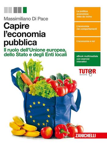 Capire l'economia. Il ruolo della Ue, dello stato e degli enti locali nel sistema economico. Con e-book. Con espansione online - Massimiliano Di Pace - Libro Zanichelli 2016 | Libraccio.it