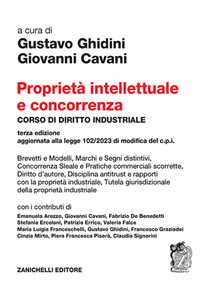 Image of Proprietà intellettuale e concorrenza. Corso di diritto industriale