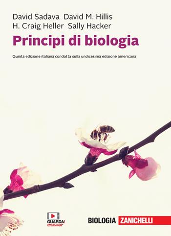 Principi di biologia. Con e-book - David Sadava, David M. Hillis, H. Craig Heller - Libro Zanichelli 2021 | Libraccio.it
