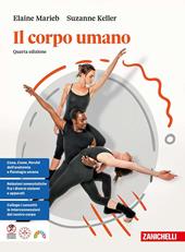 Il corpo umano.
