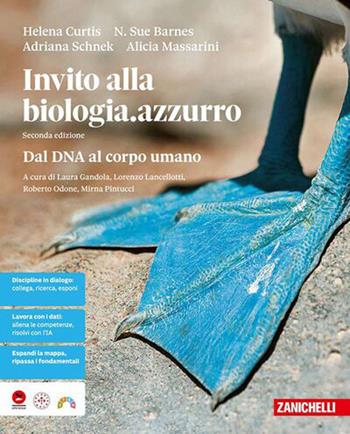 Invito alla biologia.azzurro. Dal DNA al corpo umano. Per le Scuole superiori - Helena Curtis, N. Sue Barnes, Adriana Schnek - Libro Zanichelli 2026 | Libraccio.it