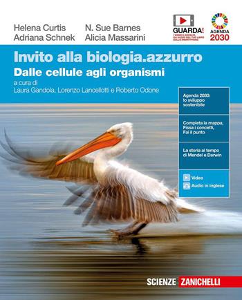 Invito alla biologia.azzurro. Dalle cellule agli organismi. Con e-book. Con espansione online - Helena Curtis, N. Sue Barnes, Adriana Schnek - Libro Zanichelli 2020 | Libraccio.it