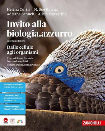 Invito alla biologia.azzurro. Dalle cellule agli organismi. Per le Scuole superiori - Helena Curtis, N. Sue Barnes, Adriana Schnek - Libro Zanichelli 2026 | Libraccio.it