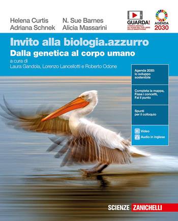 Invito alla biologia.azzurro. Dalla genetica al corpo umano. Con e-book. Con espansione online - Helena Curtis, N. Sue Barnes, Adriana Schnek - Libro Zanichelli 2020 | Libraccio.it