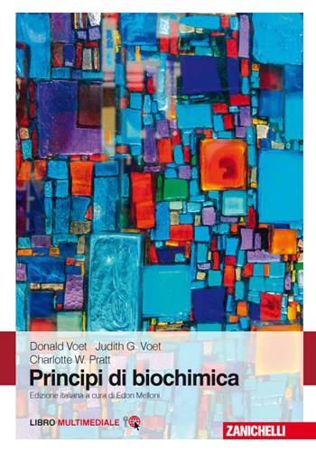 Principi di biochimica. Con e-book - Donald Voet, Judith G. Voet, Charlotte W. Pratt - Libro Zanichelli 2017 | Libraccio.it
