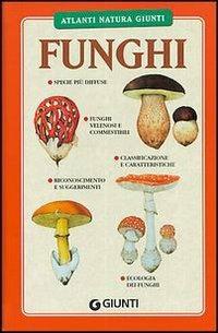 Funghi. Specie più diffuse, funghi commestibili e velenosi, classificazione, riconoscimento - Luigi Fenaroli - Libro Giunti Editore 2004, Atlanti natura Giunti | Libraccio.it