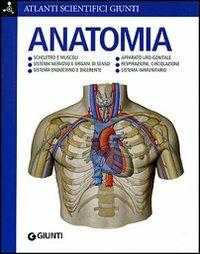 Anatomia. Ediz. illustrata - Adriana Rigutti - Libro Giunti Editore 2007, Atlanti scientifici | Libraccio.it