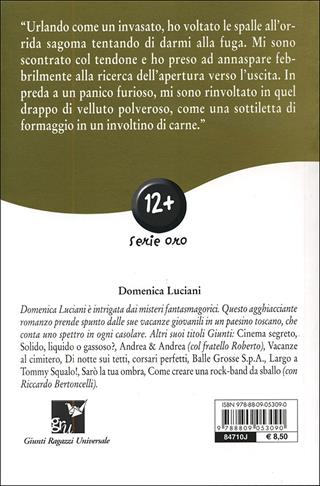 Il mistero della città fantasma - Domenica Luciani - Libro Giunti Editore 2007, Gru. Giunti ragazzi universale. Under 12 | Libraccio.it