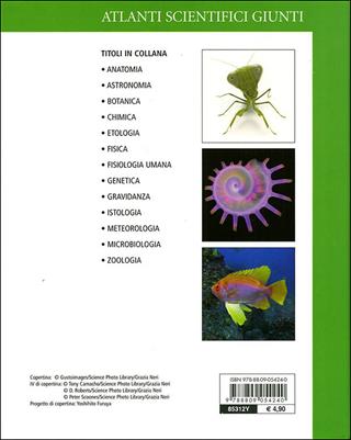Zoologia. Ediz. illustrata - Adriana Rigutti - Libro Giunti Editore 2010, Atlanti scientifici | Libraccio.it
