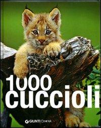 Mille cuccioli. Ediz. illustrata - Ulrike Schöber - Libro Demetra 2011, I 1000 Family | Libraccio.it