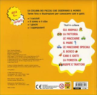 Cani e gatti - Veronica Pellegrini - Libro Giunti Kids 2009, Alza e scopri | Libraccio.it