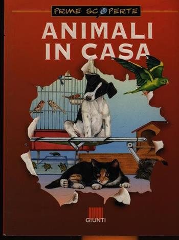 Animali in casa - Giusi Quarenghi, Tullia Colombo - Libro Giunti Editore 1995 | Libraccio.it