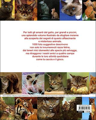 Mille gatti. Ediz. illustrata  - Libro Demetra 2011, I 1000 Family | Libraccio.it