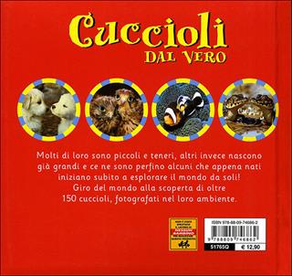 Cuccioli dal vero. Ediz. illustrata  - Libro Giunti Kids 2010, Animali dal vero | Libraccio.it