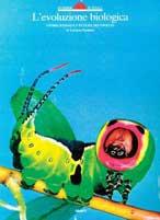 Alessandro Magno - Francesco Sisti - Libro Giunti Editore 1988, Dossier storia | Libraccio.it