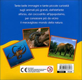 Gli animali grandi grandi. Con adesivi. Ediz. illustrata - Simona Gabbanini - Libro Giunti Kids 2011, Animali dal vero | Libraccio.it